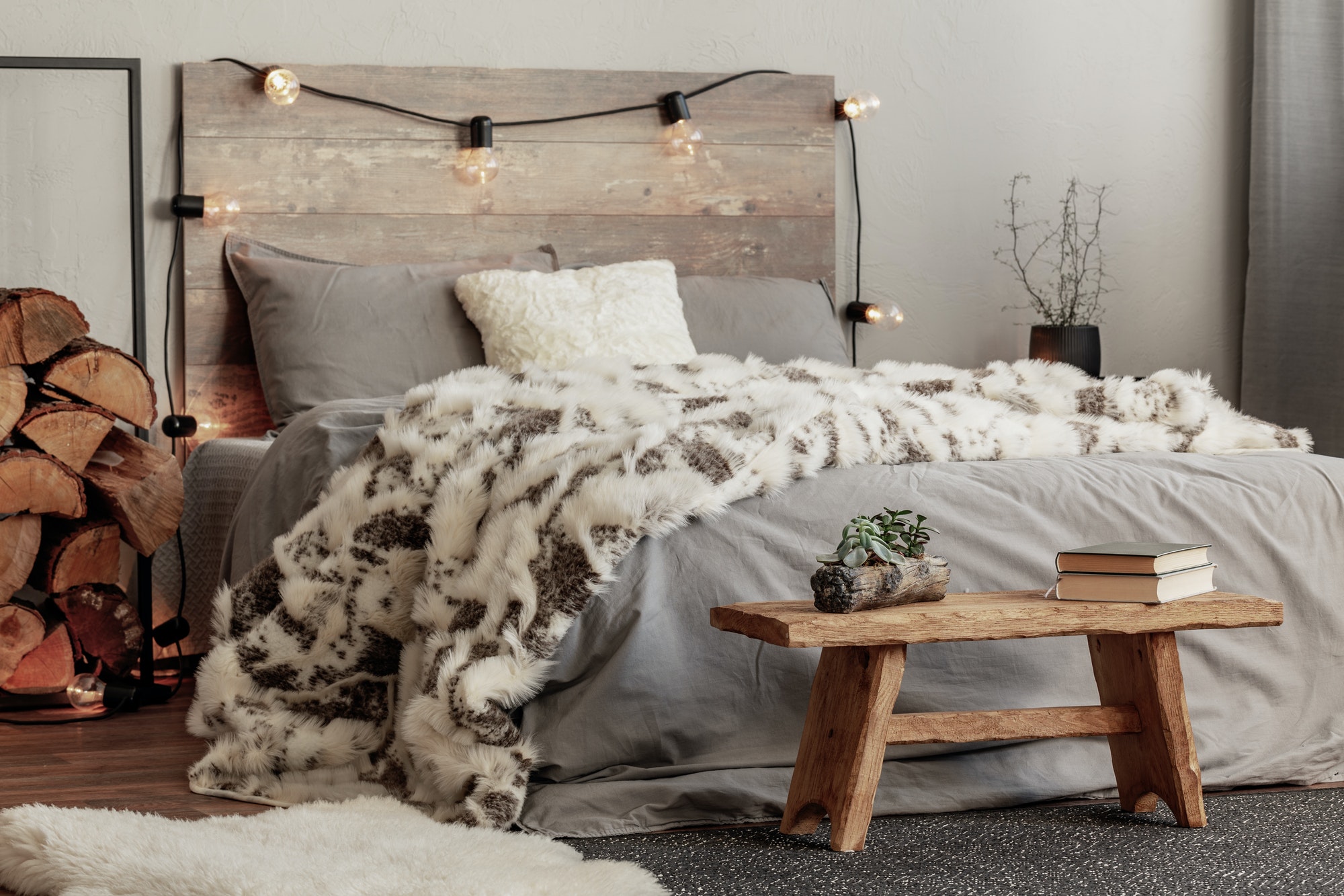 Cosy home interior design ideas