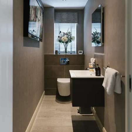 Luxury Cloakroom